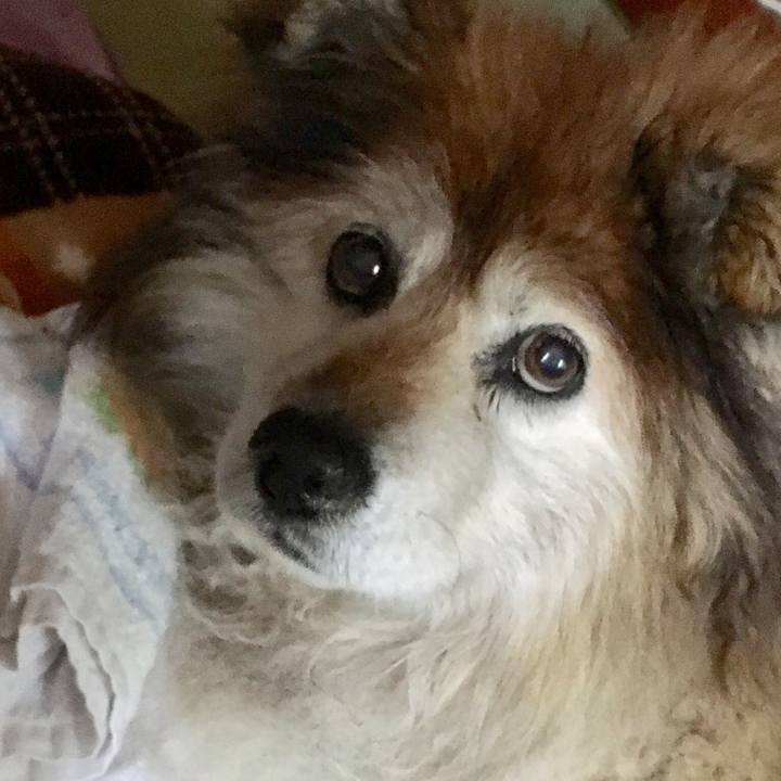 Bd8bc288 8ae8 4f33 9d43 b6bf53a5a188 1552802273064