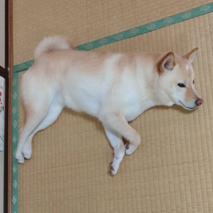 Bd8bcf9d b4c4 4641 9a32 95d6a9fbe2e9 1561247068718