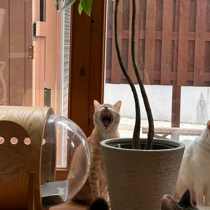 Bd8c004f f963 43ef b2ad 8a89983990f9 1685077136621