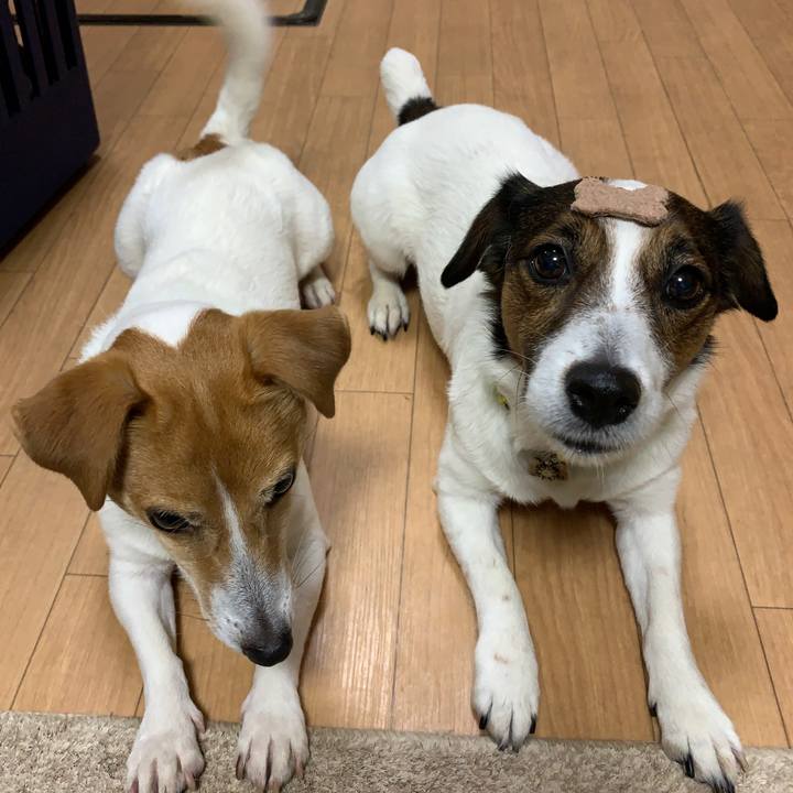 Bd8c0eb5 31ce 41f0 98ad 9beb548356b2 1619174835626