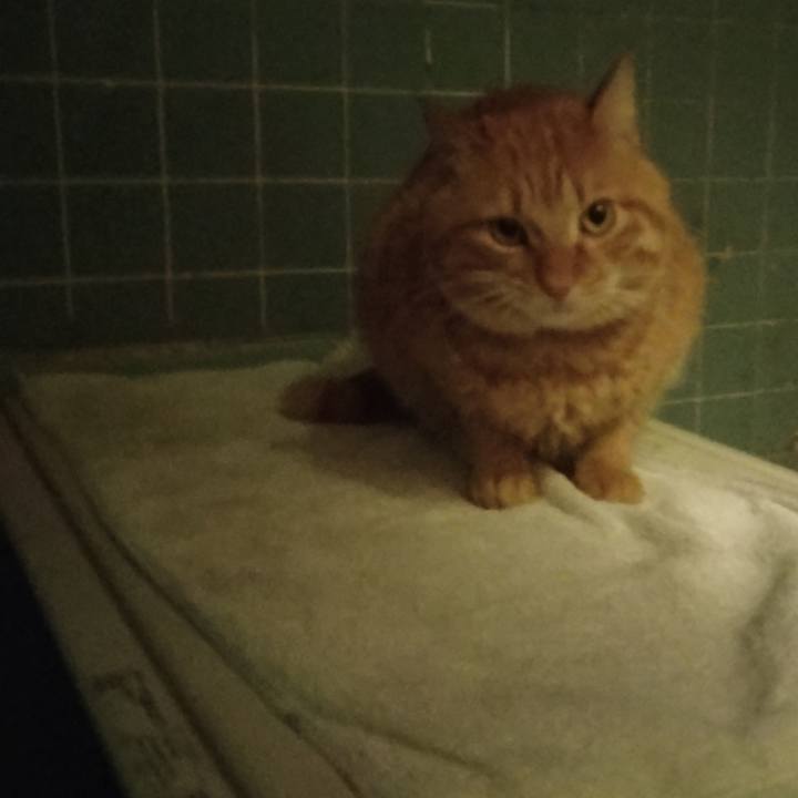 Bd8c40ea 0f9e 42fa 9f64 439d9941f7df 1706693986666