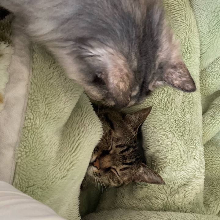 Bd8c62e6 9712 41ee a442 ed830a7df5f5 1763775247020