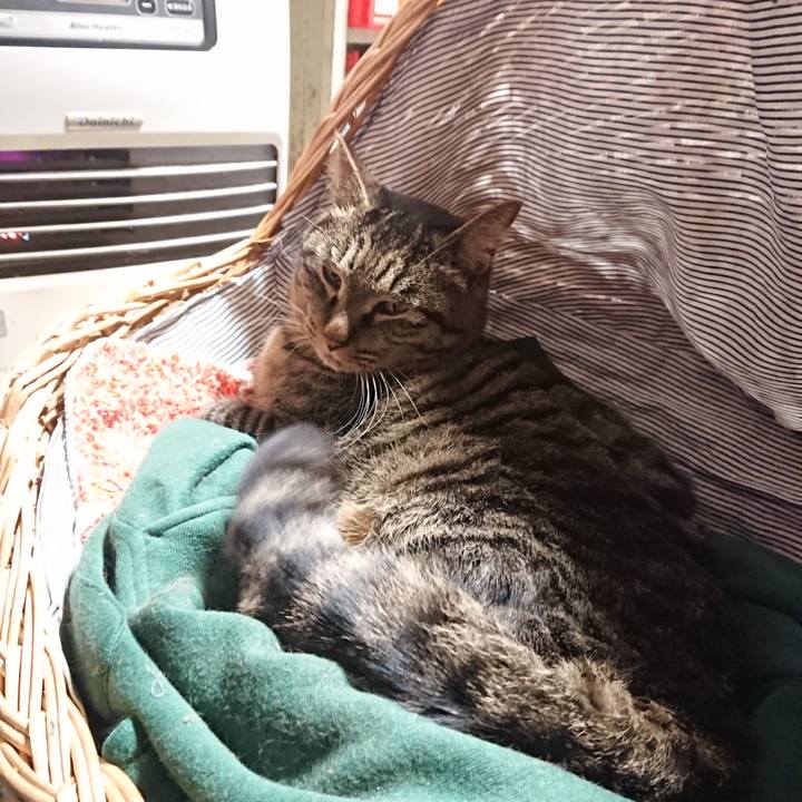 Bd8c9110 8a6a 4bbe 8825 5e11c5cdfa7a 1641471283673