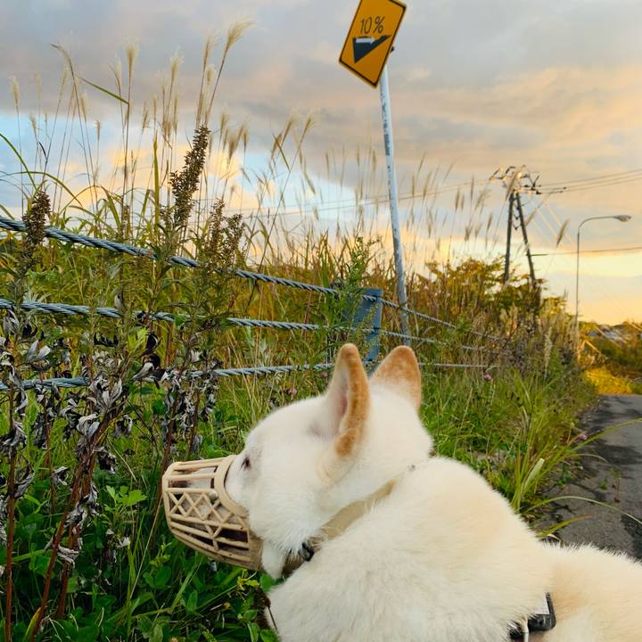 Bd8c92ee 6037 4650 8fa7 f5ace18a2c8e 1603144523938