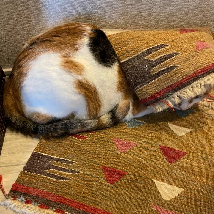 Bd8ce8f2 8ba8 4ac9 a4eb 66a70b5df5a1 1693352084907