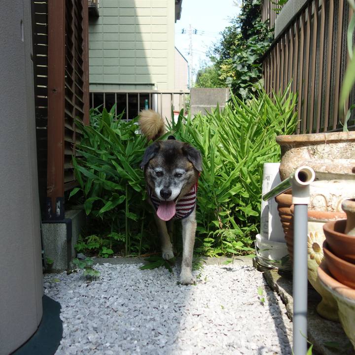 Bd8cfda0 96fb 4443 982f 243c2dcd997e 1643506620551