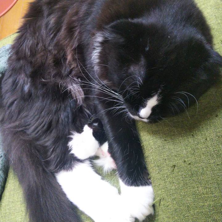 Bd8d0ba4 be48 469c 9786 36a482ac3beb 1647165487931