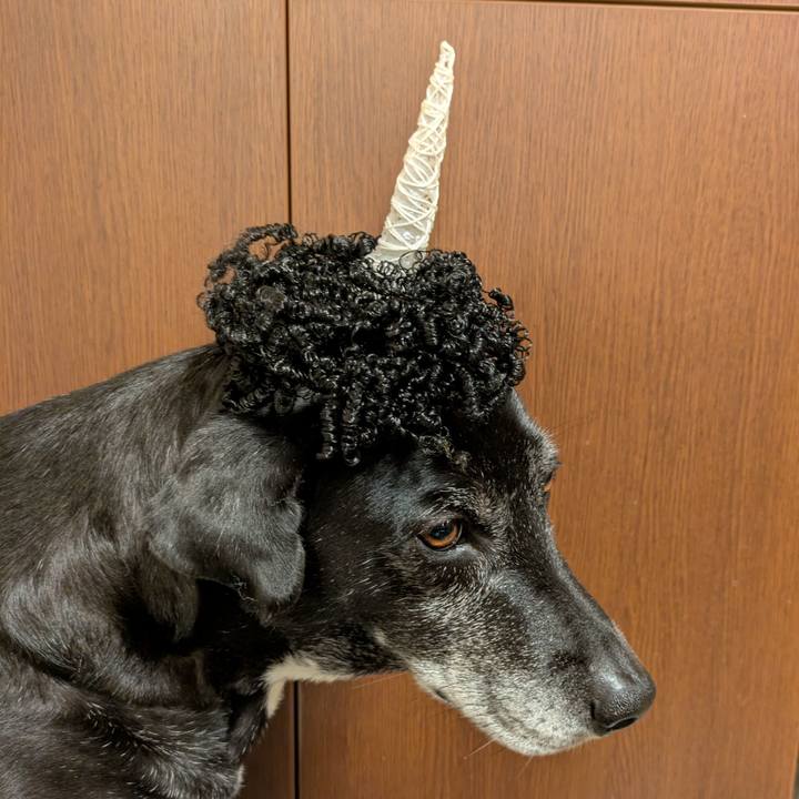 Bd8d3690 0518 491b 9278 fec89cd286b2 1770116858287