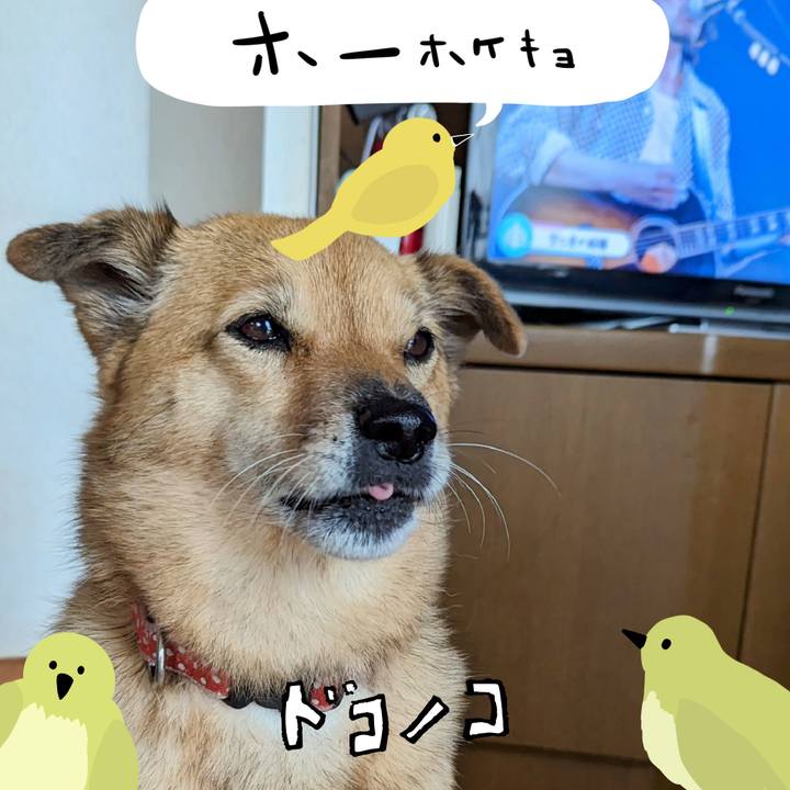 Bd8d4268 dc9e 4891 a931 223ae7f4fc10 1711202487232