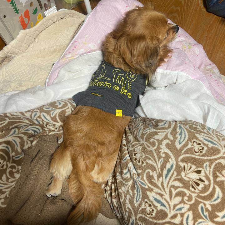 Bd8d55ca 6f94 421f 9978 c85af3baf89f 1673303788507