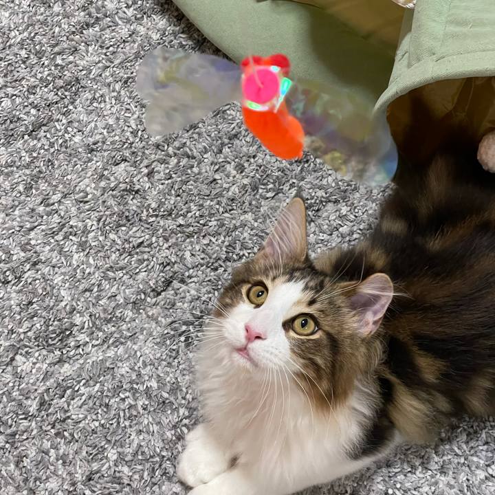 Bd8d5aa1 a133 4083 a8cc ea69503d3300 1636375153628