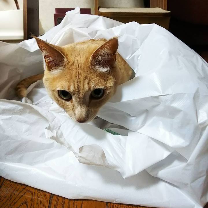 Bd8d7590 6734 4794 8cab 546354d4a5ac 1634978899550