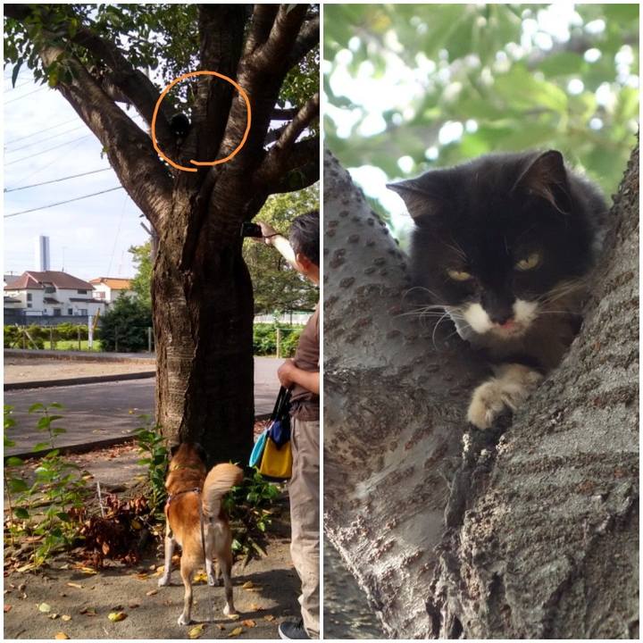 Bd8dc1be cacc 4e3b 928b b6837a5d9e00 1569631876431