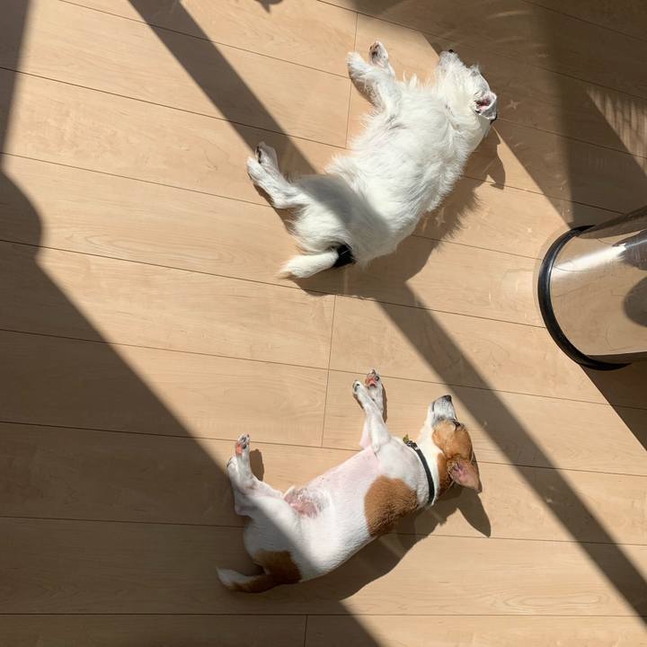 Bd8e056c d32b 4041 b0d2 eb9d0421f26a 1568697446050