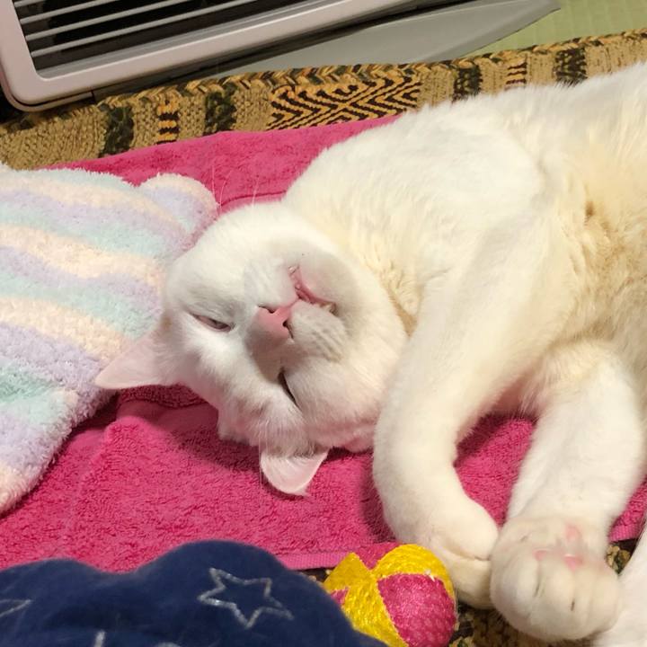 Bd8e2bf0 4308 4ae5 9917 dc144395375b 1584444098263