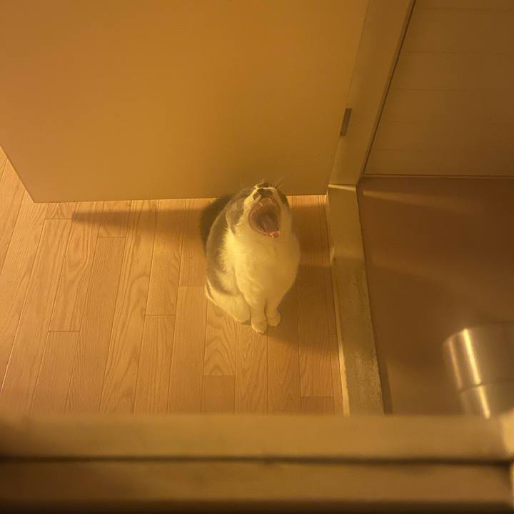 Bd8e3c55 b75e 4862 92c8 7d0d1bfa0ce5 1743341119195