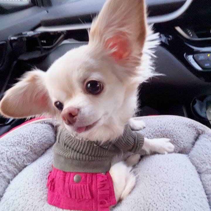 Bd8e3cf8 41b6 4a75 b73b 73f898ee7d8f 1737791534634