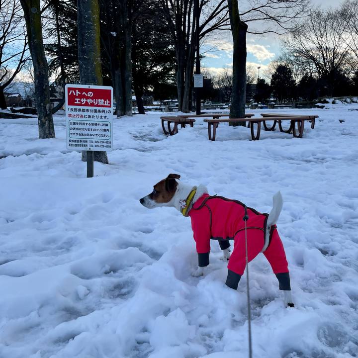 Bd8e54ab dc12 4f44 88ee bcc5aa2f4998 1643184333832