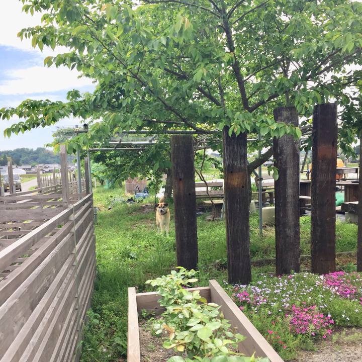 Bd8e5766 2331 4f8d 9852 0781c287845c 1525585015540