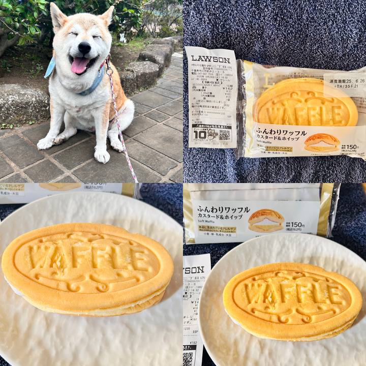 Bd8e790e d5f8 4095 acff c2bf1708269f 1750744940298