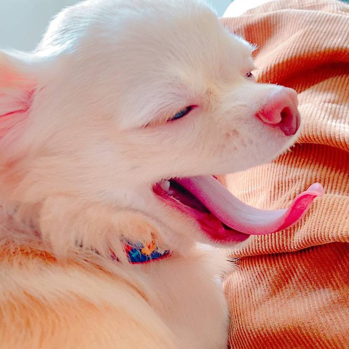 Bd8ea3be 5a0b 43f6 a68d 7979a793c22e 1631849389056