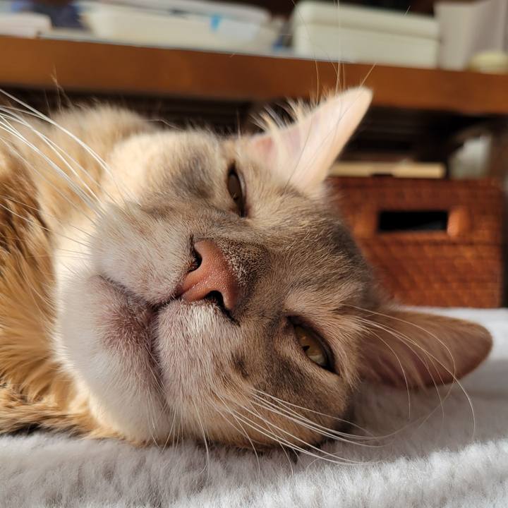 Bd8ec8c3 f25b 4ec7 9925 37f04b433180 1673521995806