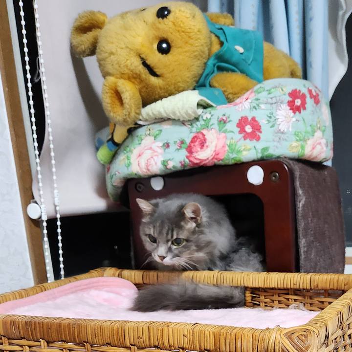 Bd8ed163 7d45 4bfd 84d8 a34c88ce9e5b 1748171915839