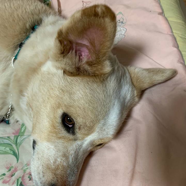 Bd8ee9fc 23a0 4a0e 822a 1d47b1b4ad85 1556112477255