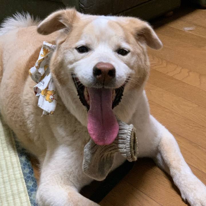 Bd8f3604 88bd 4b99 b098 98c168990d81 1626518409162