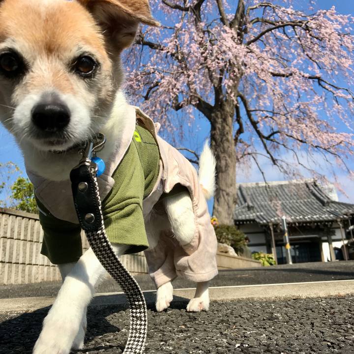 Bd8f8d7c 2a1e 472f b7ed aebc8d3fea29 1648083609182