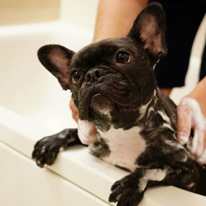 Bd8fa8cb 51c4 44f9 ae88 c9ff47f95e6f 1524883326394