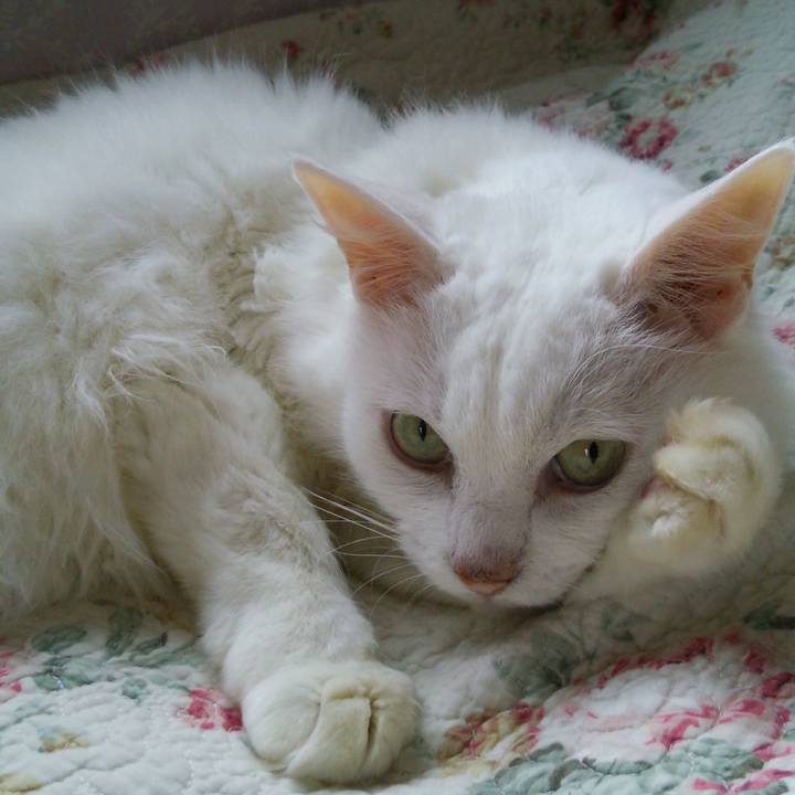 Bd8fb552 93bf 4884 ad65 3032c3bd8ff8 1531818595866