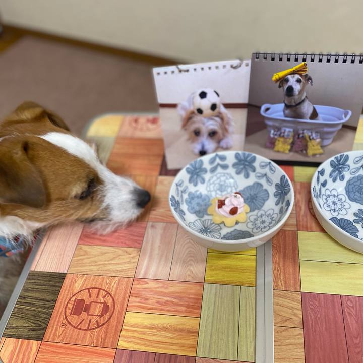 Bd8fd67a a3b5 40ec 8d15 71bbce6f92fb 1759534766469