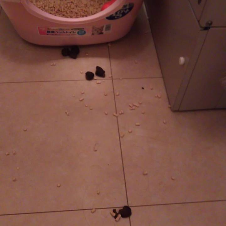 Bd8ffdfd 5380 45b2 b0b8 d5abb51e17ed 1547390707507