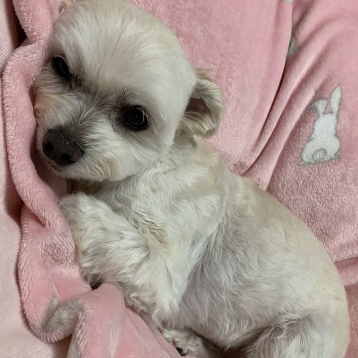 Bd901d61 ec87 46c3 8c4f 6500872a9602 1613386141502