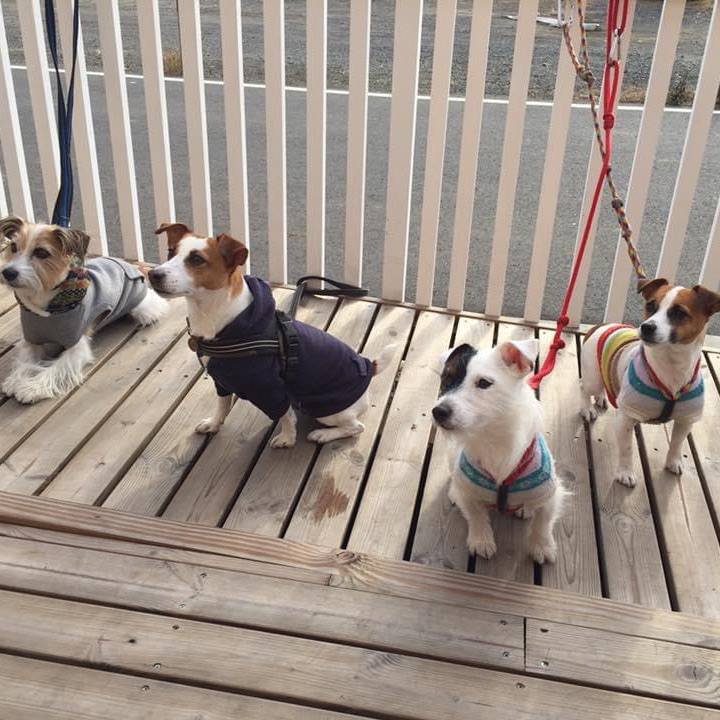 Bd902feb c458 4c59 a32b 166cd1d74614 1609288471192