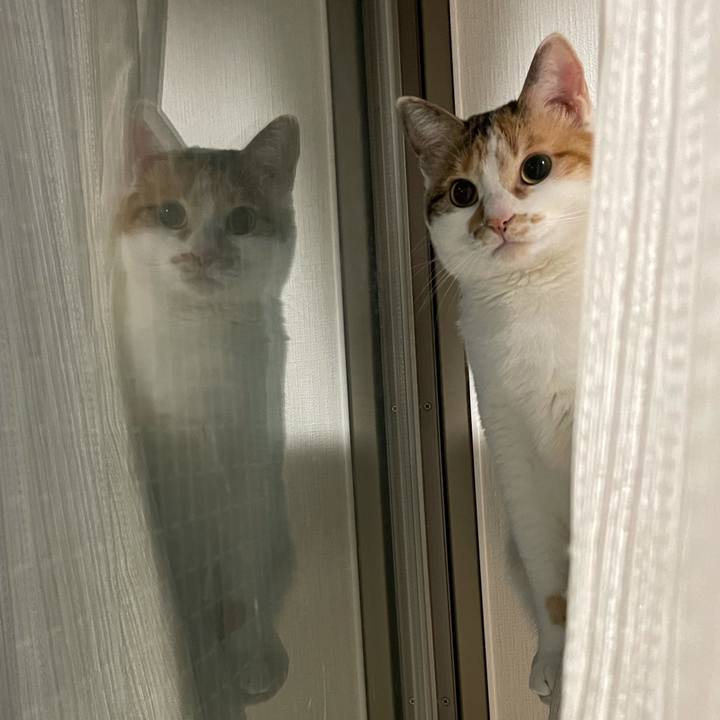 Bd9075d3 4233 48b2 9fba e82366fcc1b2 1619535270589