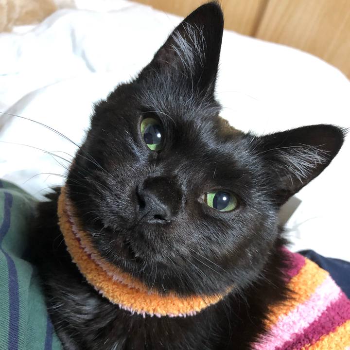 Bd90aff6 f0a3 4256 bf06 248dc4025301 1588765501474