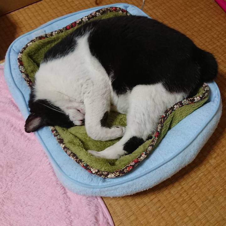 Bd910144 da6f 4770 93c6 d6e16d17c806 1537024930833