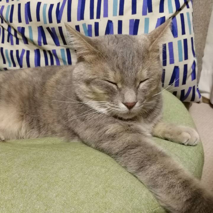 Bd910c26 d21e 4ae1 bcb5 c15b3e0515e3 1534601693309