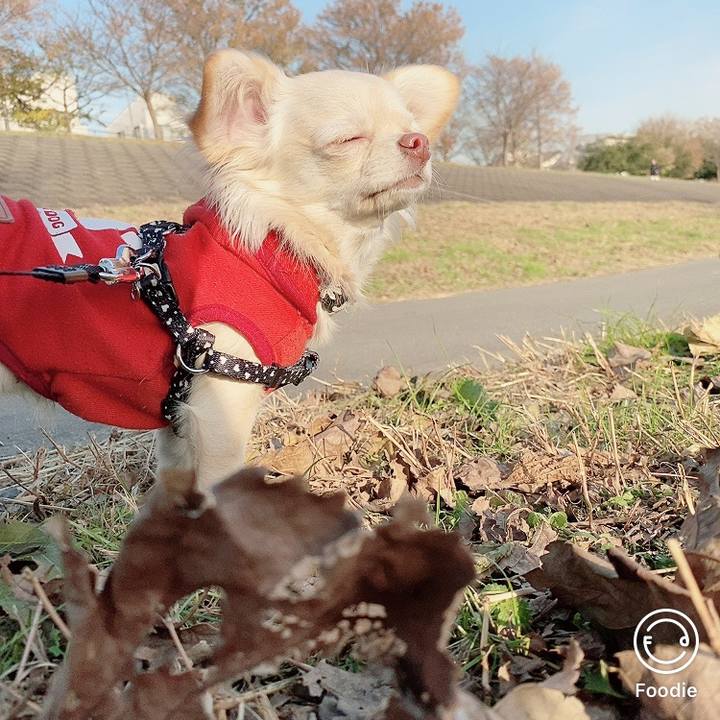 Bd911e39 e4a6 4590 ab47 f63bd0c7925c 1608280288537