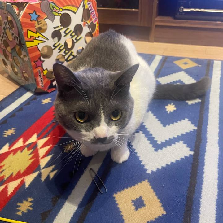 Bd9187a0 cb3c 42db 9b54 e62ea99cfa7f 1631911768988