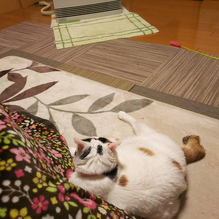 Bd919b7d 3348 495c 9388 6940aca7912e 1544347263510