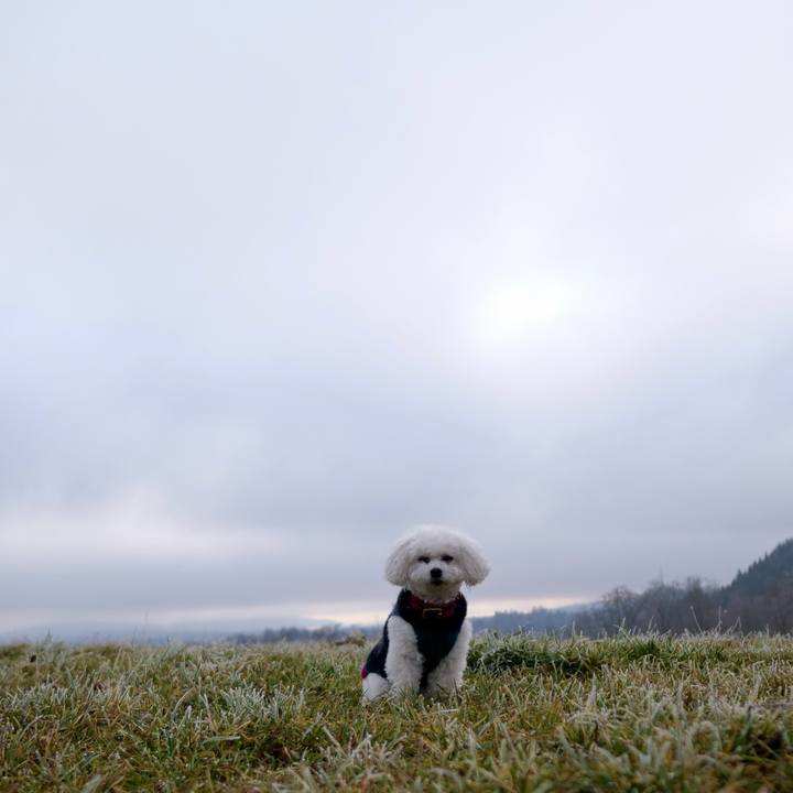 Bd91c52a 28e7 463b ab8c baf6a3ee95c7 1766527397573