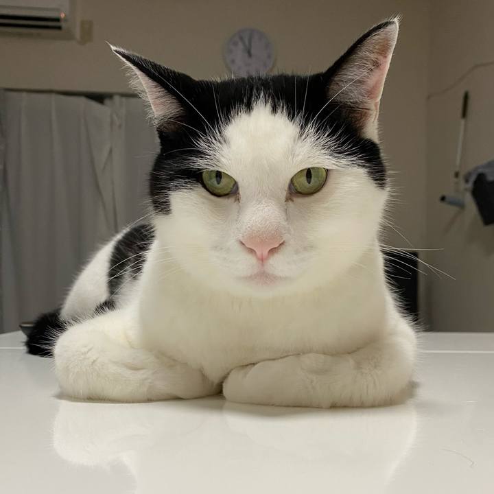 Bd91d69b 05cc 4f2d b16f 7daf39ef9678 1627657251975