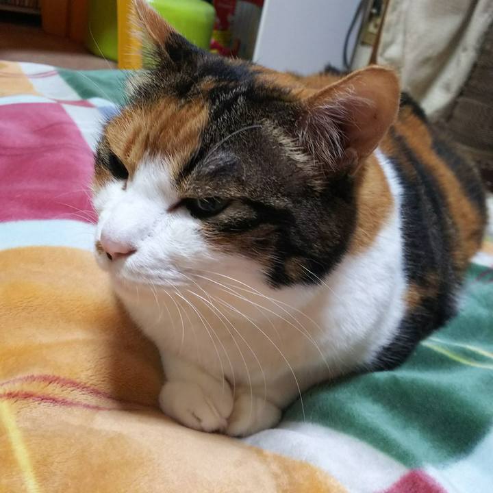 Bd91f5b9 c2c5 4ea0 a86a 311eaf8b76f6 1537976133449