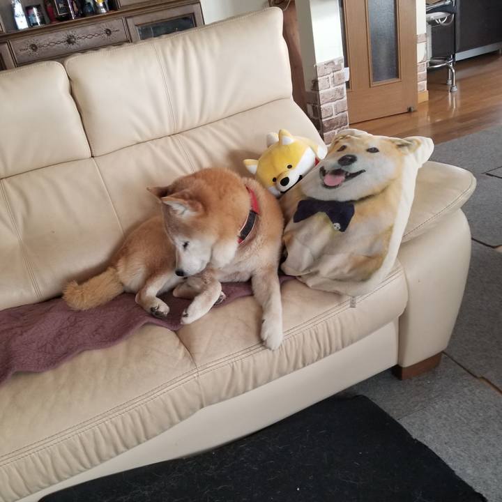 Bd921cc0 2a7b 457b 9289 f329258881ac 1741136812315