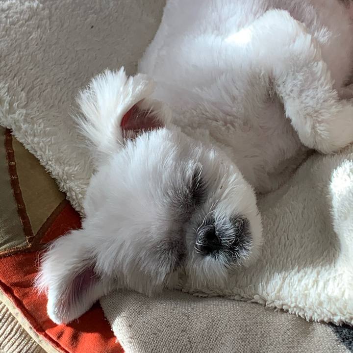 Bd922359 1183 44ac 8de8 bb6ee75c6c8f 1644188781721