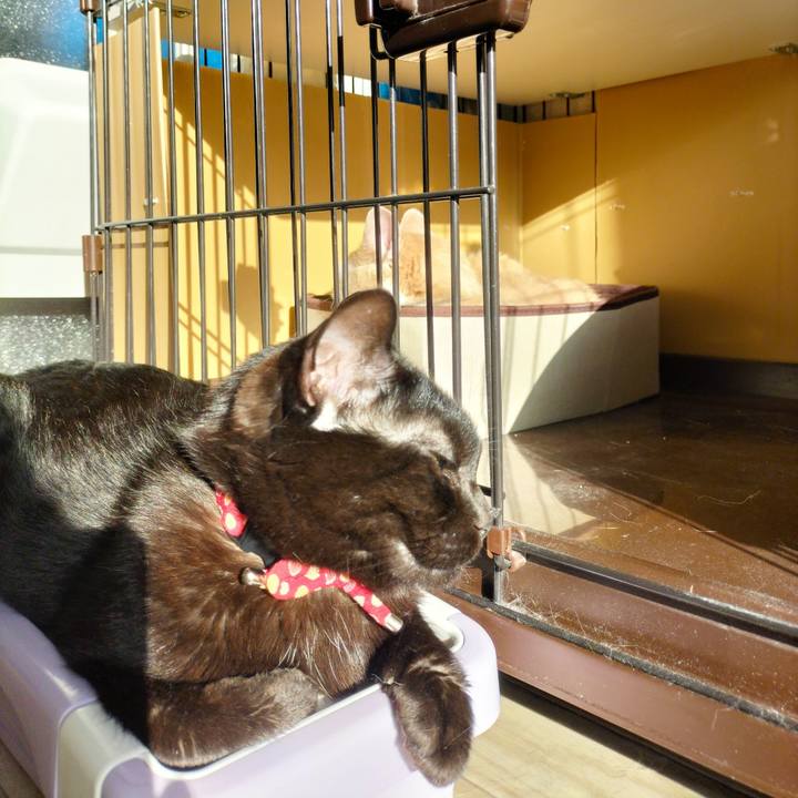 Bd9249e2 0319 48a8 8ec8 bc82203b0985 1678145013449