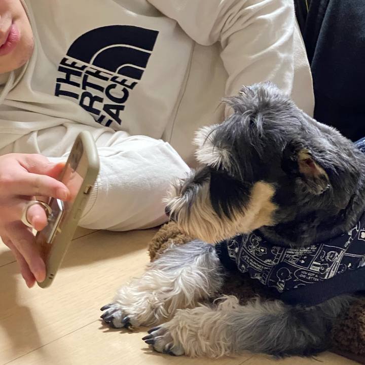 Bd925d16 dc46 4df8 bc17 2ed069d430c4 1609772061391